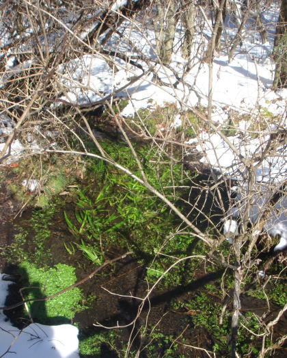 �����夦21