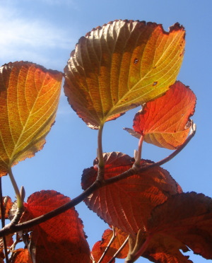 �����夦14