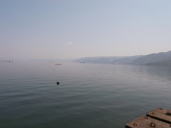 ƻ�αؤ���ߤ�39