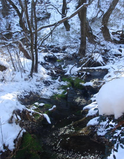 �����夦20