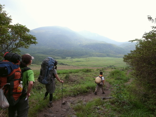 �����夦54