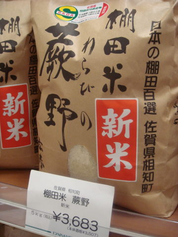 朝13