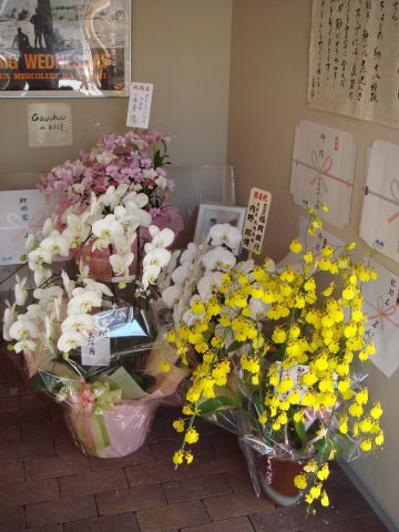 支那そば屋(お花)@志免町37