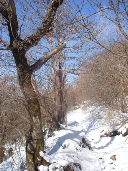 �����夦33