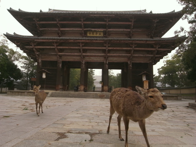 東大寺12