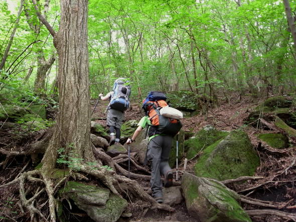 �����夦29