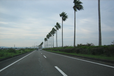 宮崎10a