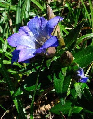 �����夦14