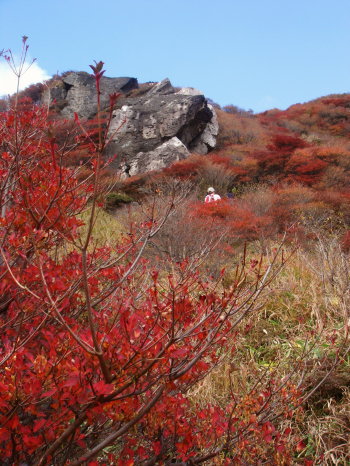 紅葉くじゅう31
