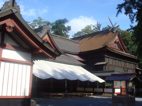 ���������30