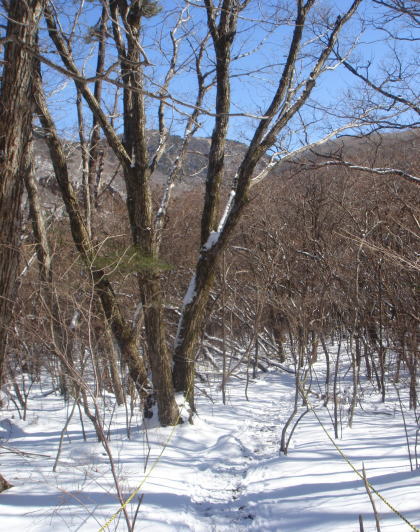 �����夦19