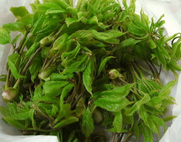 �������֤�10