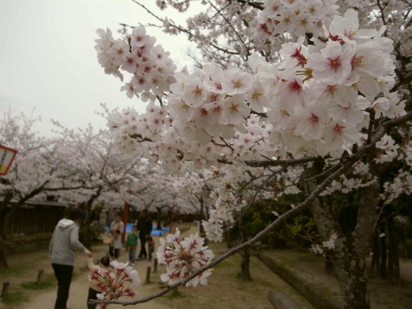 神野公園@佐賀市20