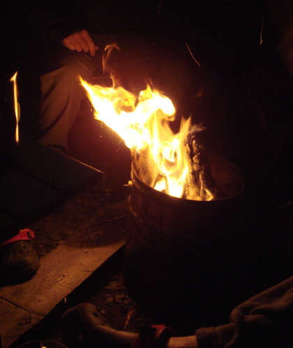 ������Į31