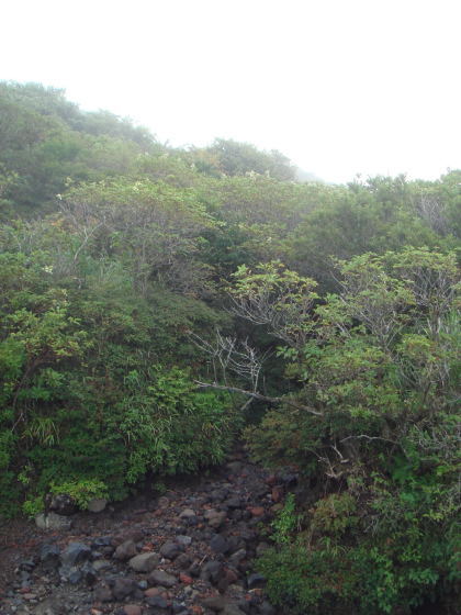 夦4-46