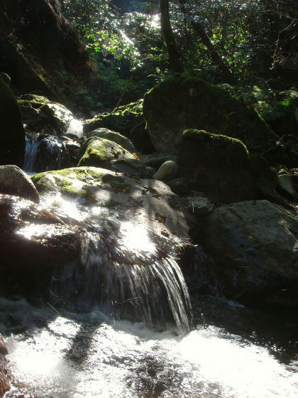 井原山23