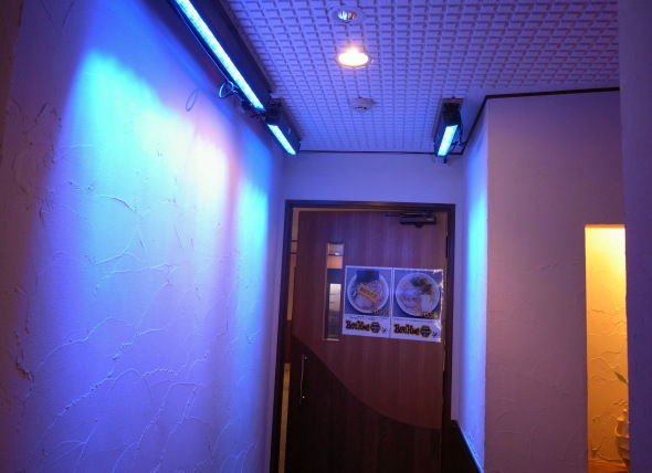 Bee Hive90