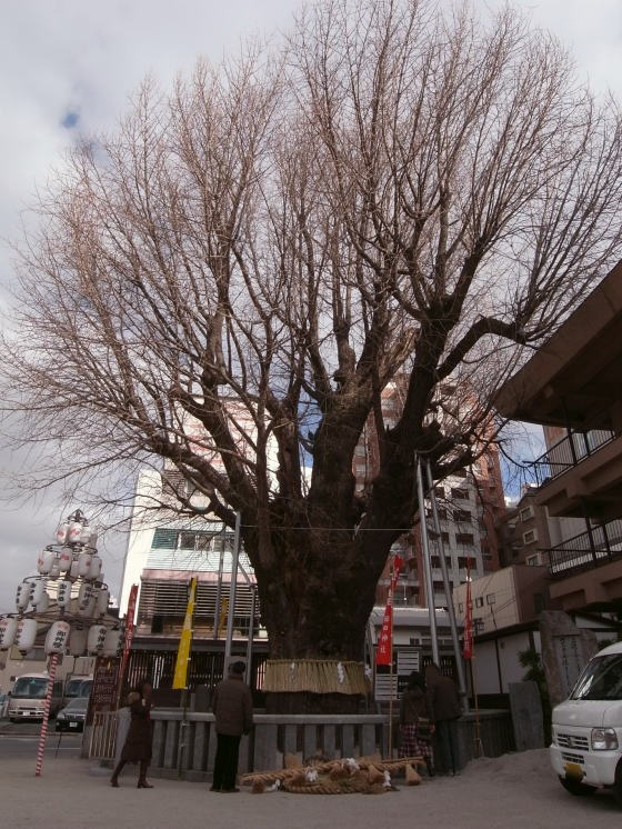 櫛田神社31