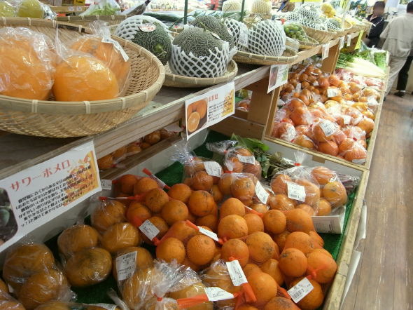 ƻ�αؤ���ߤ�40