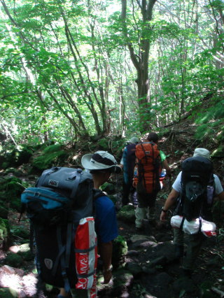 �����夦24