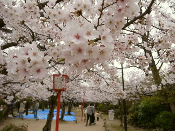 神野公園@佐賀市21