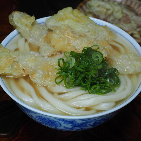 かつみ屋＠元町（佐賀県鳥栖市）ごぼう天うどん＋揚げいなり