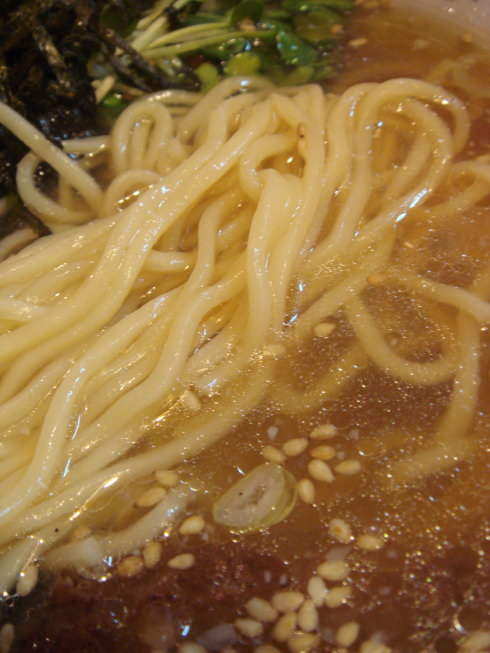 �顼�����������23