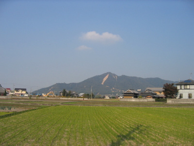 小縣家11