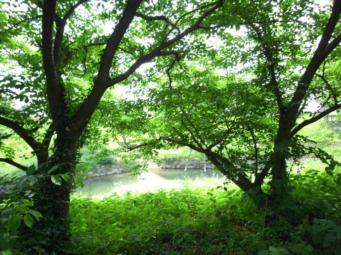 佐賀41