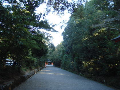 ��������21