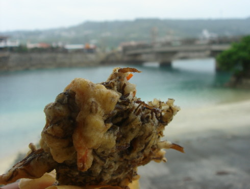 中本鮮魚店@玉城村21