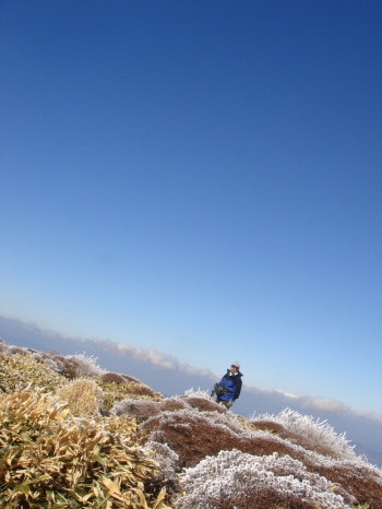 �����夦2-78