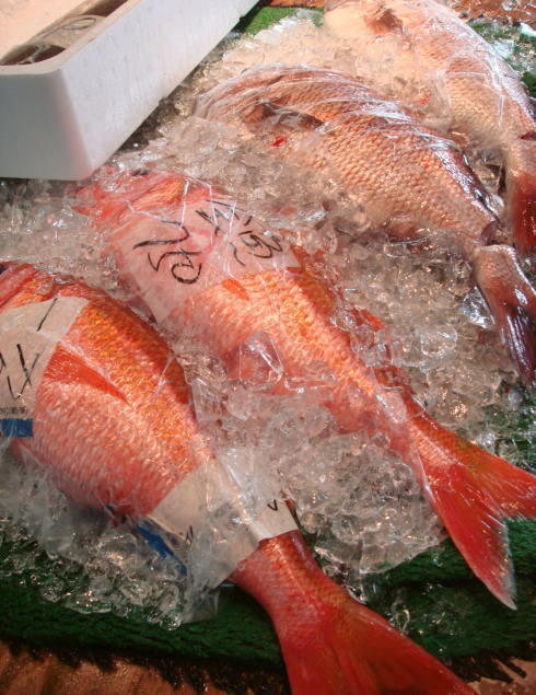 魚市場@鹿児島10
