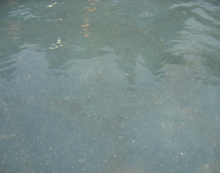 星生温泉15