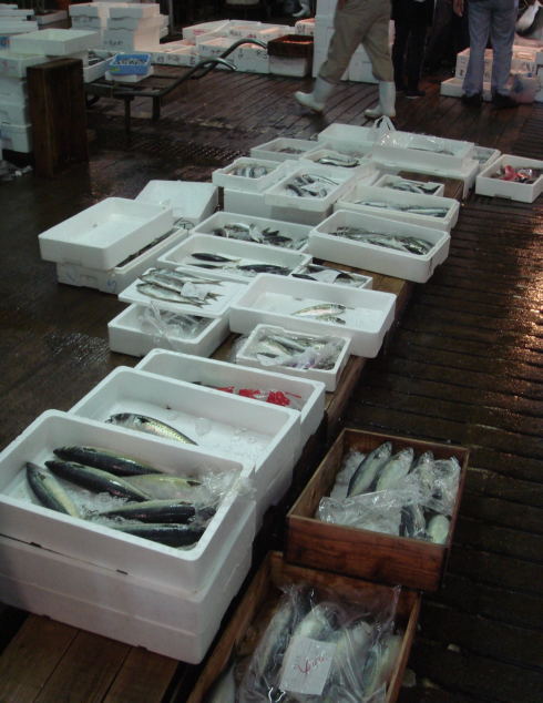 魚市場@鹿児島20