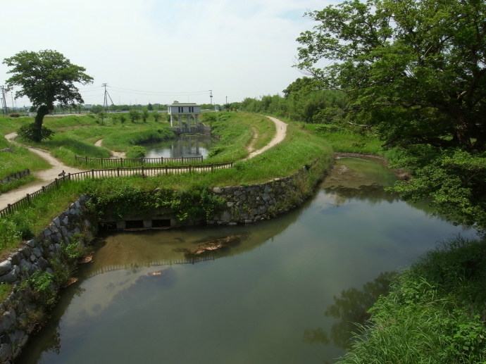 佐賀50