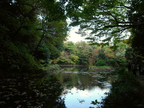東京大学@本郷30