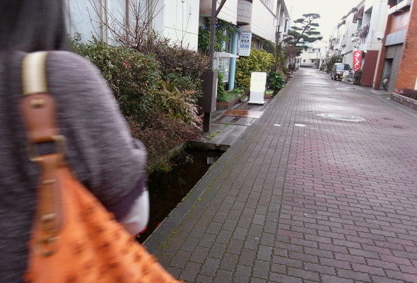 �衹�������ӻ�33