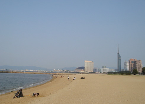 �磻��ԥ��˥å�4-36