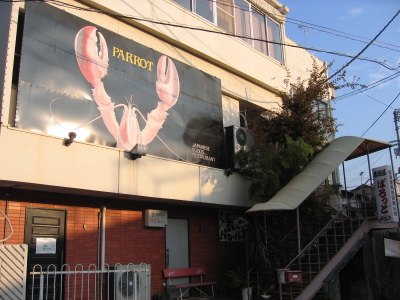 parrot10