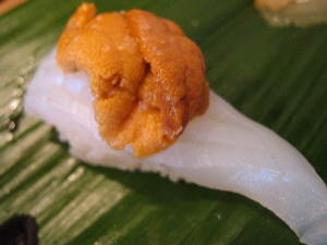 2004 04 23 uni ika10
