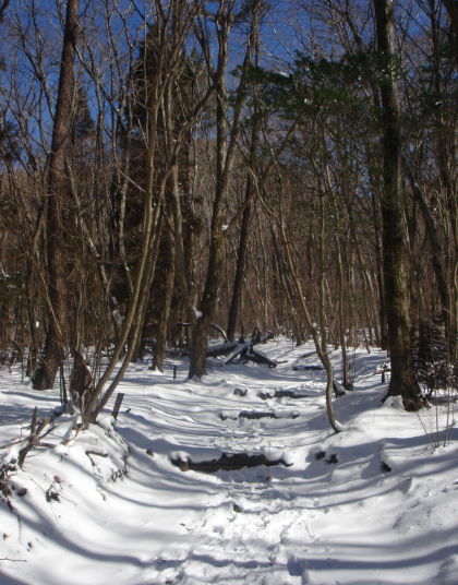 �����夦22