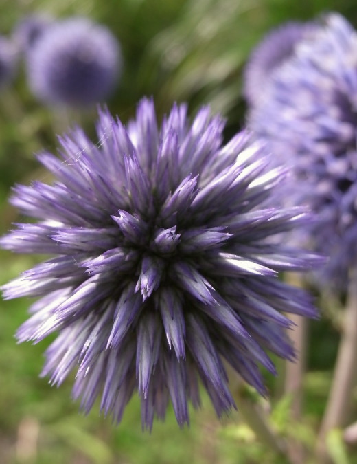 �����夦11b