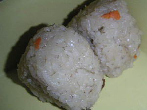 2004 03 27 tenko onigiri