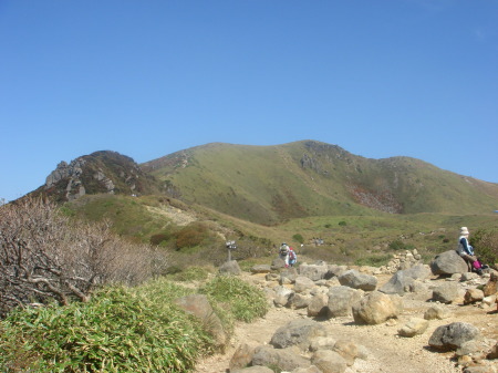 �����夦16