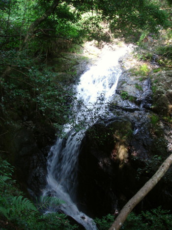福智山29