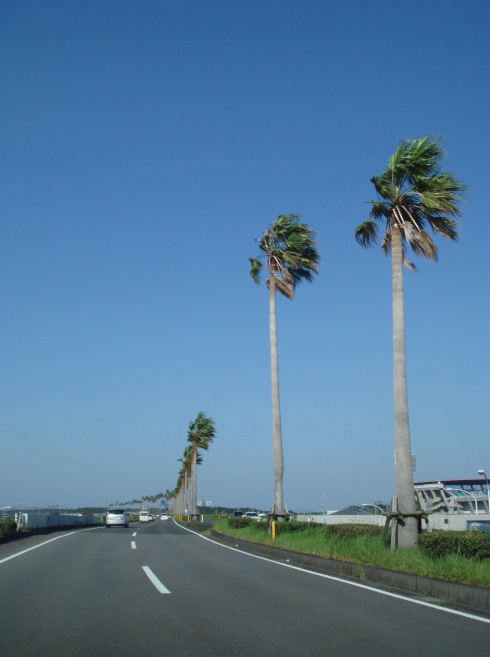 宮崎12