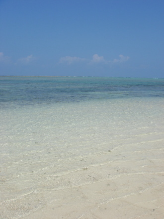 海11
