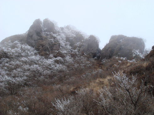 由布岳54