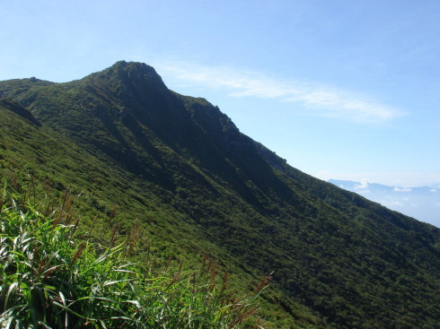 ������19